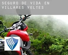 Seguro de vida en  Villares de Yeltes