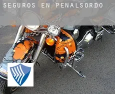 Seguros en  Peñalsordo