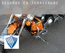 Seguros en  Torreorgaz