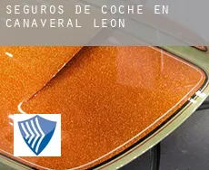 Seguros de coche en  Cañaveral de León