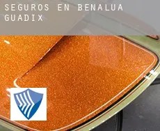 Seguros en  Benalúa de Guadix