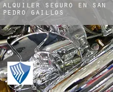 Alquiler seguro en  San Pedro de Gaíllos