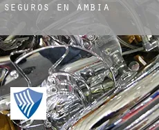 Seguros en  Ambía