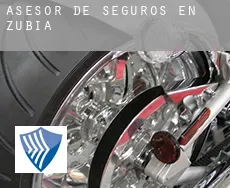 Asesor de seguros en  Zubia