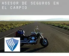 Asesor de seguros en  El Carpio