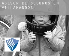 Asesor de seguros en  Villamandos