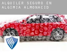 Alquiler seguro en  Algimia de Almonacid