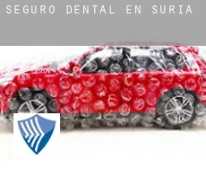 Seguro dental en  Súria