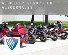 Alquiler seguro en  Algodonales