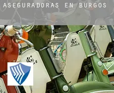 Aseguradoras en  Burgos