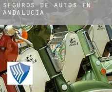 Seguros de autos en  Andalucía