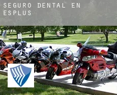 Seguro dental en  Esplús