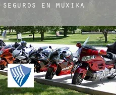 Seguros en  Muxika