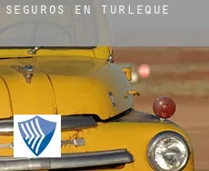 Seguros en  Turleque