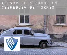 Asesor de seguros en  Cespedosa de Tormes