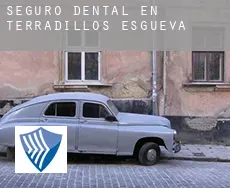 Seguro dental en  Terradillos de Esgueva