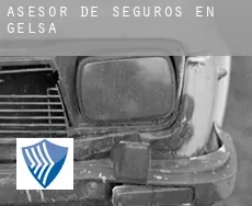 Asesor de seguros en  Gelsa