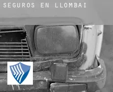 Seguros en  Llombai