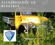 Aseguradoras en  Mengibar