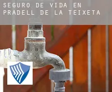 Seguro de vida en  Pradell de la Teixeta