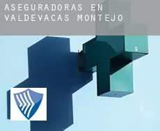 Aseguradoras en  Valdevacas de Montejo