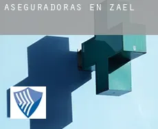 Aseguradoras en  Zael