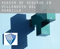 Asesor de seguros en  Villanueva del Pardillo