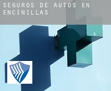 Seguros de autos en  Encinillas