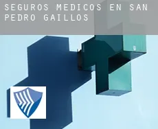 Seguros medicos en  San Pedro de Gaíllos