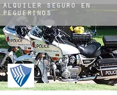 Alquiler seguro en  Peguerinos