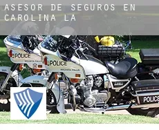 Asesor de seguros en  Carolina (La)