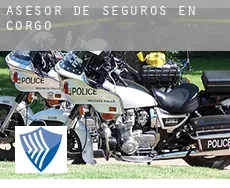 Asesor de seguros en  Corgo