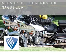 Asesor de seguros en  Maguilla