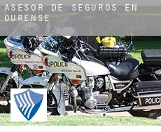 Asesor de seguros en  Ourense