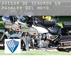 Asesor de seguros en  Poyales del Hoyo