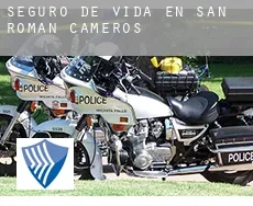 Seguro de vida en  San Román de Cameros