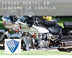 Seguro dental en  Ledesma de la Cogolla