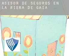 Asesor de seguros en  la Riera de Gaià