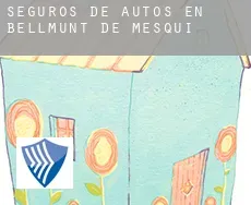 Seguros de autos en  Bellmunt de Mesquí / Belmonte de San José