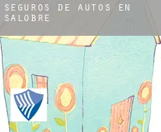 Seguros de autos en  Salobre