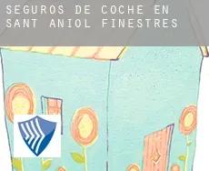 Seguros de coche en  Sant Aniol de Finestres