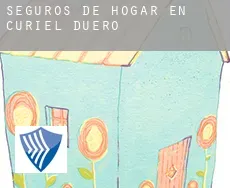 Seguros de hogar en  Curiel de Duero