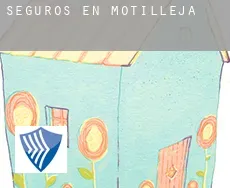 Seguros en  Motilleja