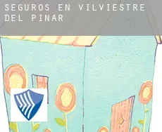 Seguros en  Vilviestre del Pinar