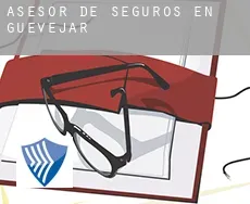 Asesor de seguros en  Güevéjar