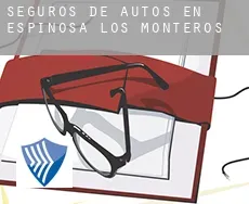 Seguros de autos en  Espinosa de los Monteros