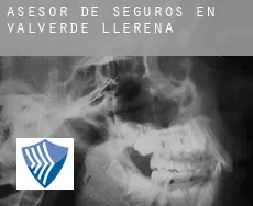 Asesor de seguros en  Valverde de Llerena