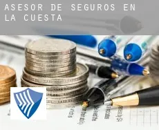 Asesor de seguros en  La Cuesta