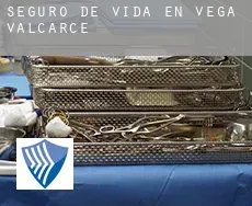 Seguro de vida en  Vega de Valcarce